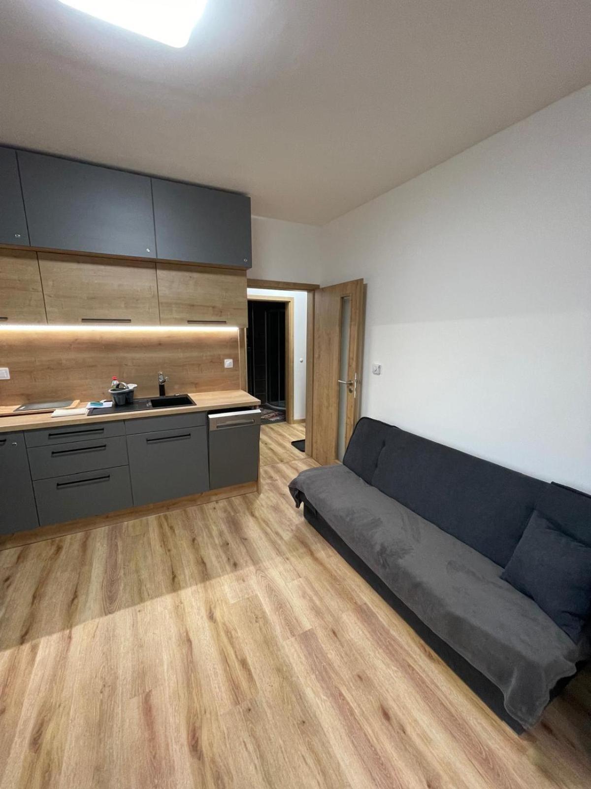 Skis Apartment